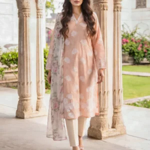 3 Piece Lawn Suit